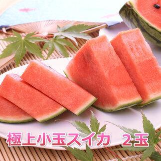 【ふるさと納税】248.【先行予約】極上小玉スイカ 2玉 ※6月上旬~8月中旬頃に順次発送予定