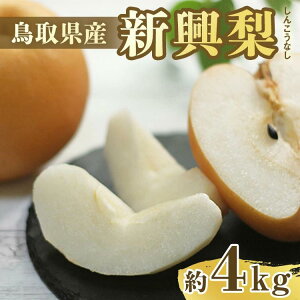【ふるさと納税】303.【先行予約】新興梨 秀 約4Kg(4~16玉前後) ※10月~11月下旬頃に順次発送予定