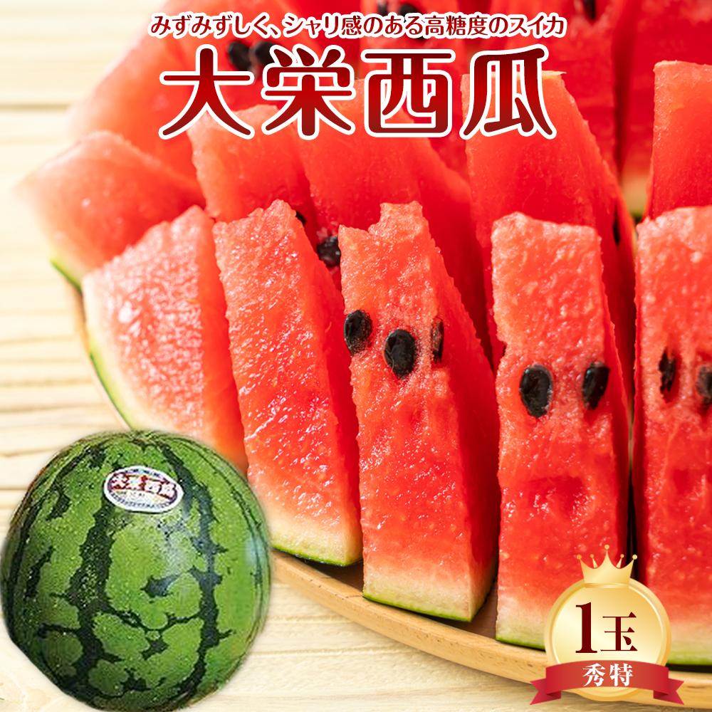 【ふるさと納税】734.【先行予約】【JA】大栄西瓜 秀特×1玉　※着日指定不可　※離島への配送不可　※2025年6月中旬頃～7月中旬頃に順次発送予定のサムネイル