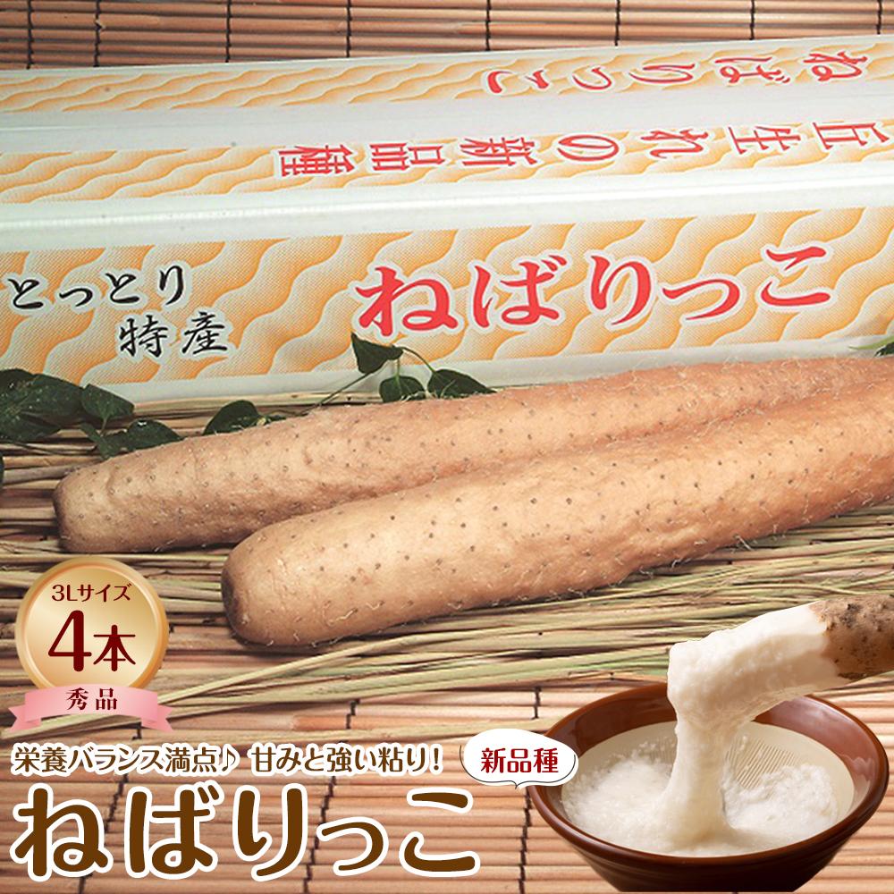 楽天市場】ねばりっこ(食品)の通販 楽天市場】ねばりっこ(食品)の通販