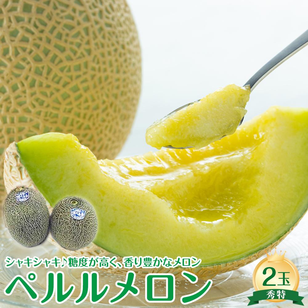 【ふるさと納税】741.【先行予約】【JA】ペルルメロン 秀特×2玉 ※離島への配送不可 ※2025年6月中旬頃~7月中旬頃に順次発送予定