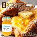 【ふるさと納税】946.天然はちみつ 百花蜜 600g×1本 蜂蜜 ハチミツ ハチ蜜 鳥取県産◇日本全国配送可能