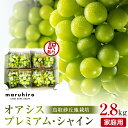 【ふるさと納税】914.【先行予約】シャインマスカット 訳あり 家庭用 鳥取砂丘地産 2.8kg(350g×8パック) ※離島への配送不可 ※2025年8月下旬...