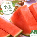 【ふるさと納税】248.極上小玉スイカ 2玉 ※6月上旬〜8月中旬頃に順次発送予定 | 西瓜 スイカ 小玉西瓜 果物 フルーツ くだもの 鳥取県 北栄町 おすす...