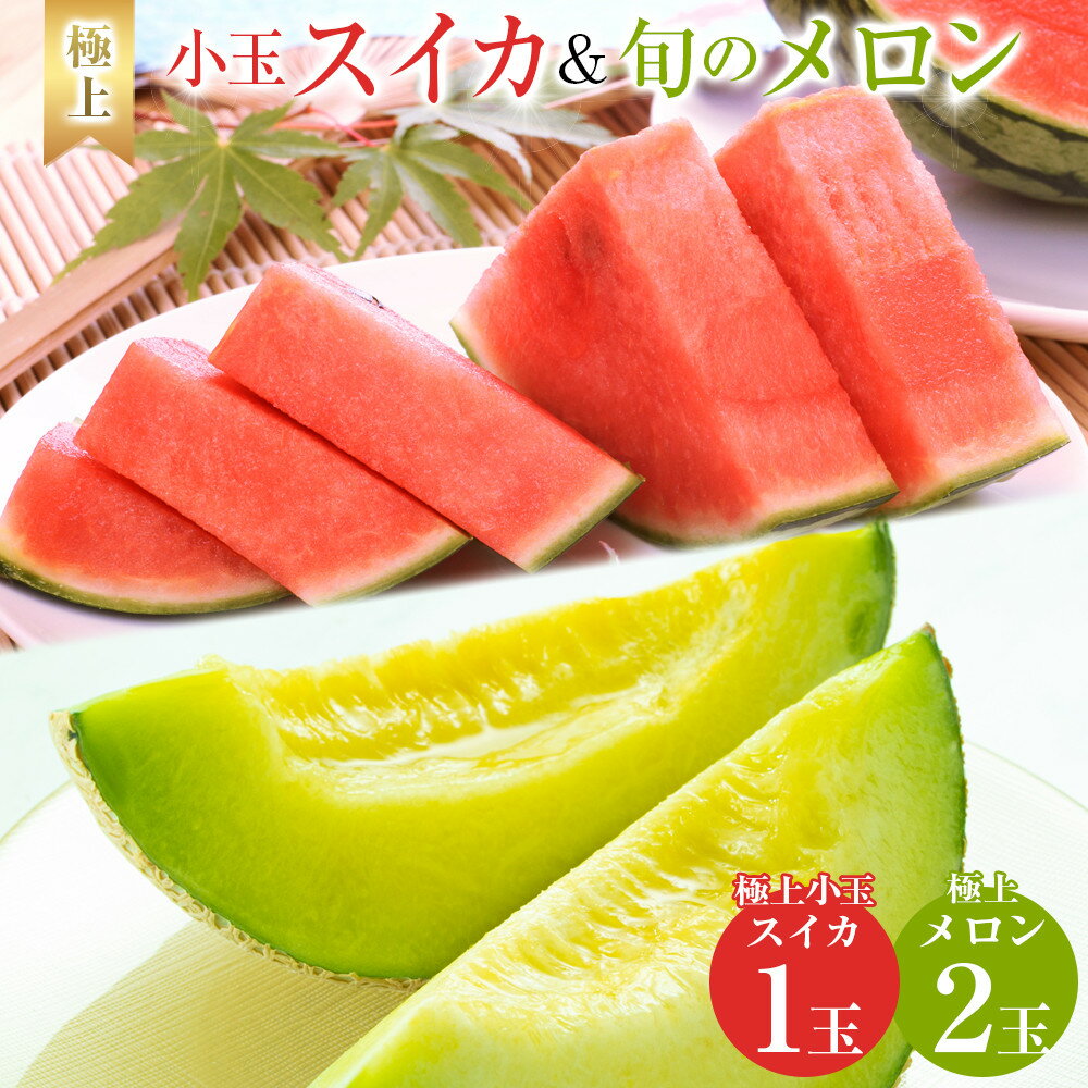 【ふるさと納税】254.【先行予約】極上小玉スイカと旬のメロン2玉セット ※6月上旬〜7月下旬頃に順次発送予定 | 西瓜 スイカ 小玉西瓜 メロン セット商品 ...