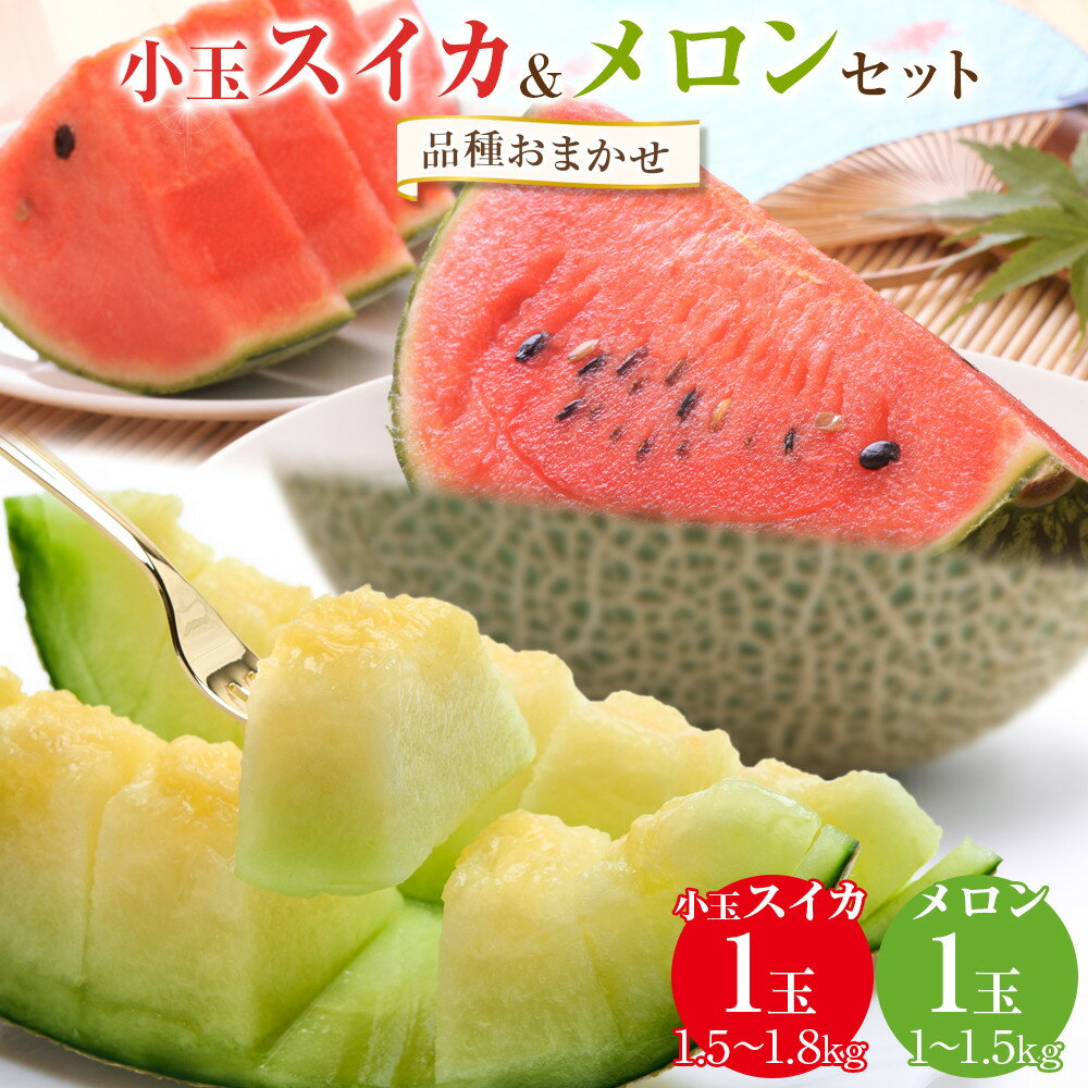 【ふるさと納税】255.【先行予約】【品種はおまかせ】小玉スイカ1玉とメロン1玉セット ※6月上旬〜7月中旬頃に順次発送予定 | 西瓜 スイカ メロン セット商...