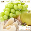 1位! 口コミ数「302件」評価「4.34」272.【先行予約】シャインマスカット(種無し)と旬の梨セット 小◇ ※2025年8月下旬~9月下旬頃に順次発送予定