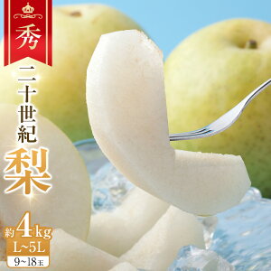 【ふるさと納税】280.【先行予約】二十世紀梨 秀 約4Kg L~5L 9~18玉前後◇ ※2025年8月下旬~9月下旬頃に順次発送予定