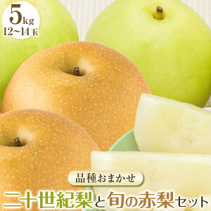 【ふるさと納税】282.【先行予約】二十世紀梨と旬の赤梨セット 5kg◇ ※2025年8月下旬~9月下旬頃に順次発送予定