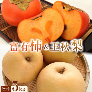 【ふるさと納税】336.【先行予約】富有柿と王秋梨のセット 5kg前後 ※2025年11月上旬~12月上旬頃に順次発送予定