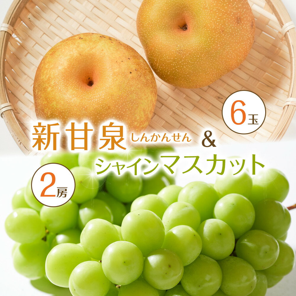 【ふるさと納税】535.【先行予約】新甘泉6玉とシャインマスカット2房 ※8月下旬〜9月中旬頃に順次発送予定 | 先行予約 シャインマスカット マスカット 葡萄...