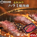 【ふるさと納税】53.鳥取牛ハラミ焼肉盛 450g