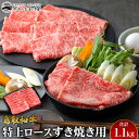 【ふるさと納税】33.鳥取和牛 特上ロースすき焼き用 1.1kg◇