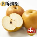 【ふるさと納税】【先行予約】【訳あり】新興梨 4kg(4〜16玉前後)※2026年10月上旬〜11月下旬頃に順次発送予定 | 先行予約 梨 なし カロリー 果物...