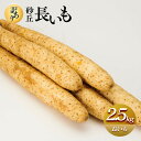 【ふるさと納税】943.≪先行受注≫【訳あり】砂丘長いも2.5kg 長芋 ながいも 鳥取県産 ※11月上旬頃~3月下旬頃に順次発送予定 | 野菜 やさい 根菜 とろろ 長芋 芋 いも 鳥取県 北栄町 おすすめ 人気 送料無料