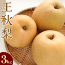 1位! 口コミ数「260件」評価「4.37」<選べる容量> 梨 王秋梨 3kg 5kg 鳥取県産 ※2025年10月下旬~12月上旬頃に順次発送予定 | 先行予約 梨 なし 果物 フルーツ くだもの 鳥取県 北栄町 おすすめ 人気 送料無料