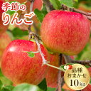 【ふるさと納税】331.【品種はおまかせ】季節のりんご 10kg箱 ※2025年10月上旬~10月下旬頃に順次発送予定 | りんご 林檎 フルーツ 果物 新鮮 先行予約 おまかせ 季節 鳥取県 北栄町 おすすめ 人気