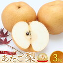 【ふるさと納税】プレミアム あたご梨 4〜5kg(3〜8玉前後)梨の中でも一番巨大 鳥取県産 ※2025年11月下旬〜2026年2月中旬頃に順次発送予定 | 先...