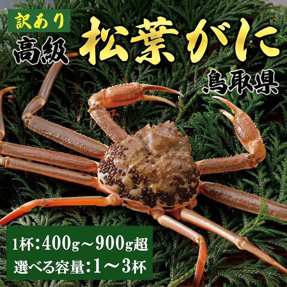 【ふるさと納税】内容量が選べる【2025年11月発送】特撰 松葉がに(なま)【訳あり】400g超〜900g超の大きいサイズまで 食べ応えあり 1〜3杯 | 蟹 ...