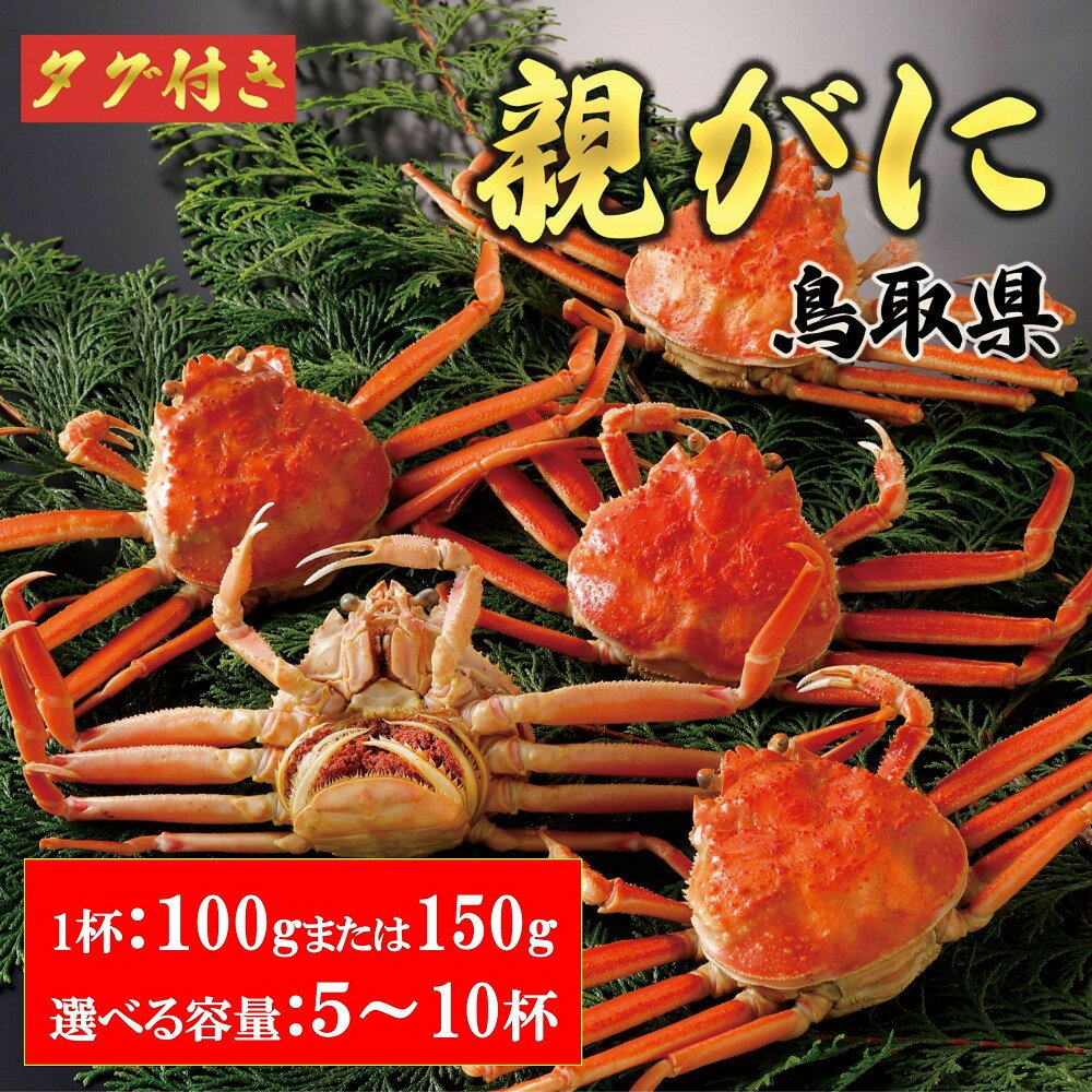 ڤդ뤵Ǽǡ̤٤2025ǯ11ȯĻ踩  Ƥ ѡڥˡۡ觡100gޤ150g 510 |    ...