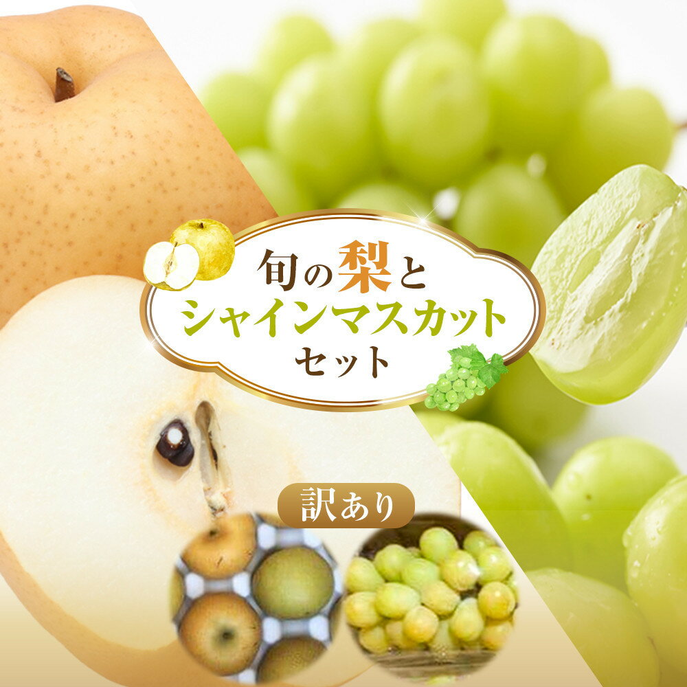 【ふるさと納税】955.【先行予約】【訳あり】シャインマスカット（350g前後）と旬の梨（5玉）セット※8..