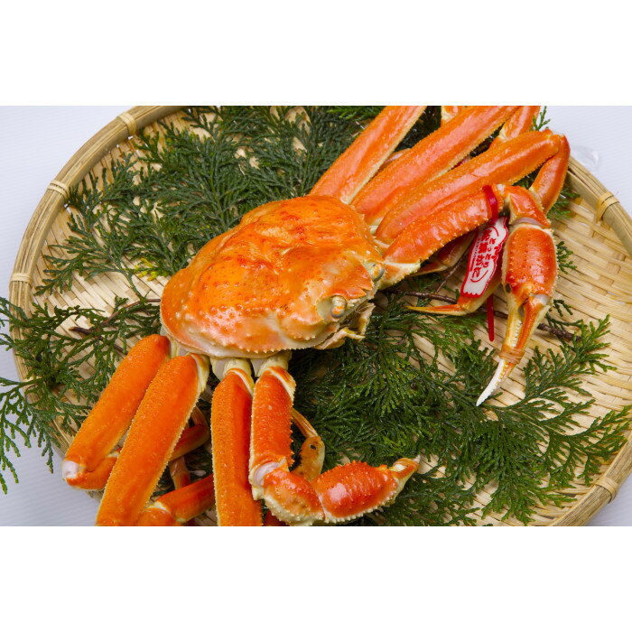 【ふるさと納税】1034.鳥取県産 タグ付きボイル松葉ガニと活松葉ガニの欲張りフルコース大2枚セット (800g前後) ※2025年11月上旬〜2026年3月下...