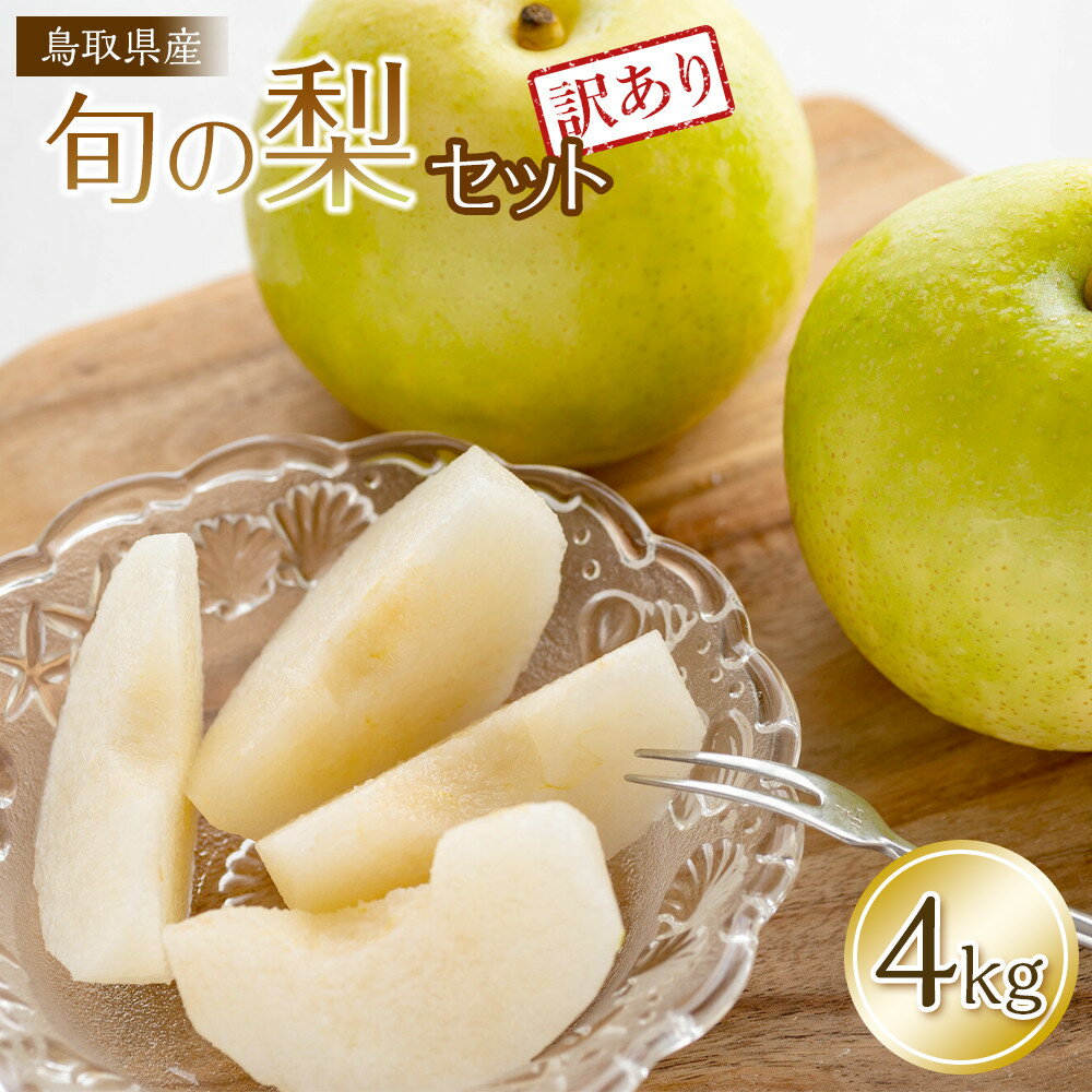 ڤդ뤵ǼǡۡĻ踩ܤå 4kg 2025ǯ8ܺ12ܺ˽缡ȯͽ | ͽ  ʤ    ˭...