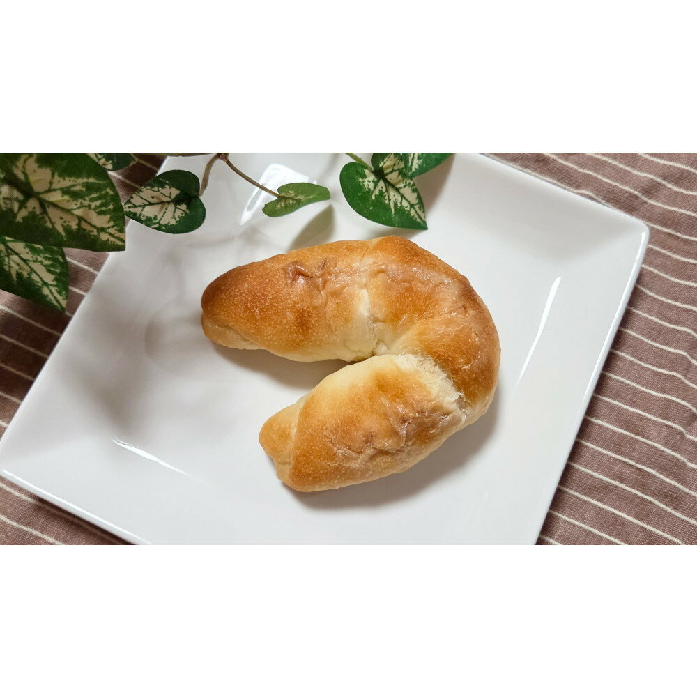 【ふるさと納税】1176.【定期便3ヶ月】山塩香る人気パン 氣愛の塩パン 5個×3回