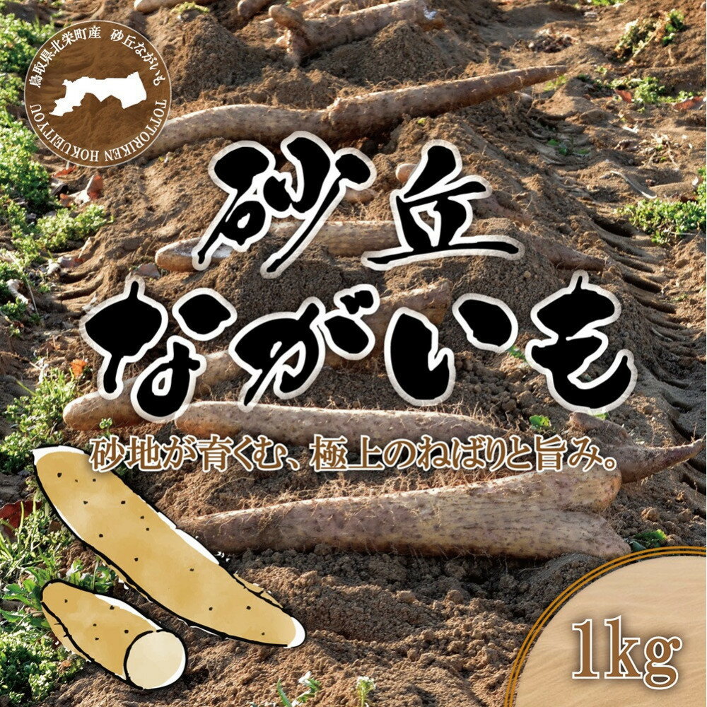 1112.砂丘ながいも1kg