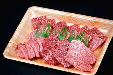 【ふるさと納税】鳥取和牛　焼肉用特上赤身肉（大）