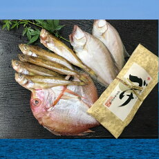 【ふるさと納税】日本海の干物と漬け丼セット 梅(通年)