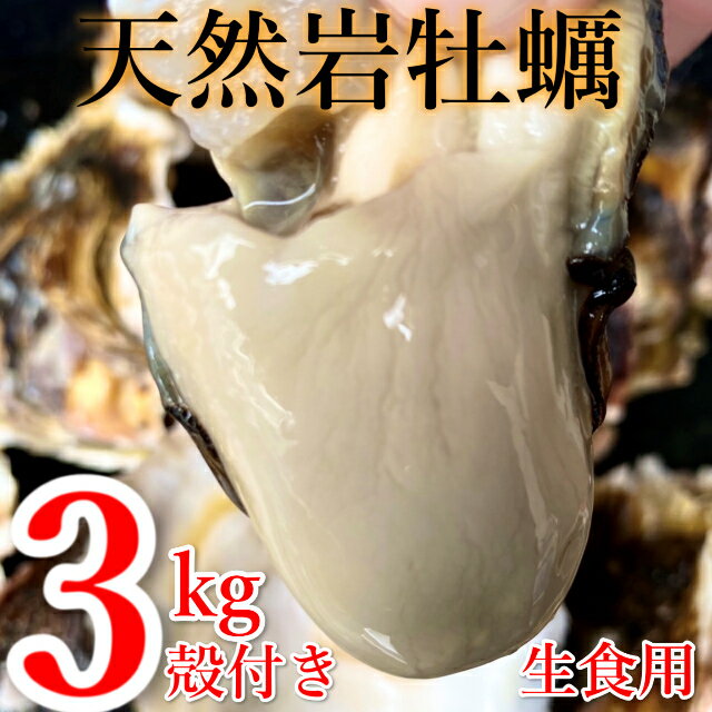 【ふるさと納税】【先行予約】天然岩ガキ　3Kg（殻付き...