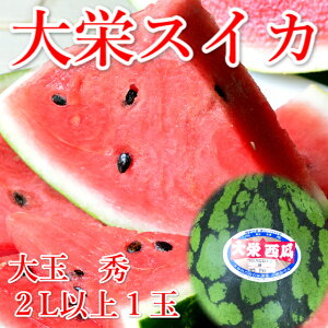 【ふるさと納税】大栄 スイカ　1玉（高間商店）※2023年6月下旬〜7月中旬頃に順次発送予定