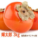 【ふるさと納税】【先行予約】輝太郎 3kg ※2024年10月上旬～中旬頃に順次発送予定