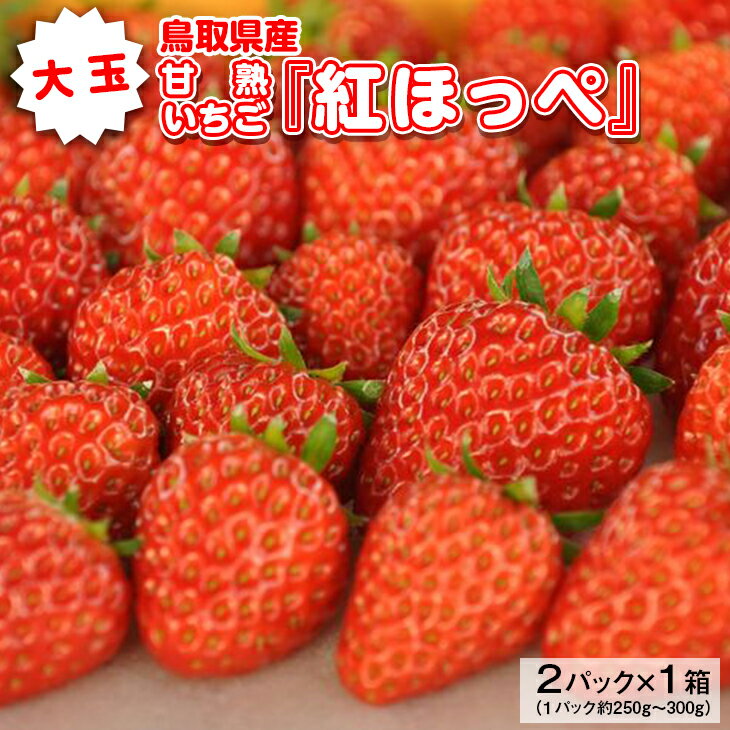 【ふるさと納税】大玉甘熟いちご『紅ほっぺ』　※2024年12
