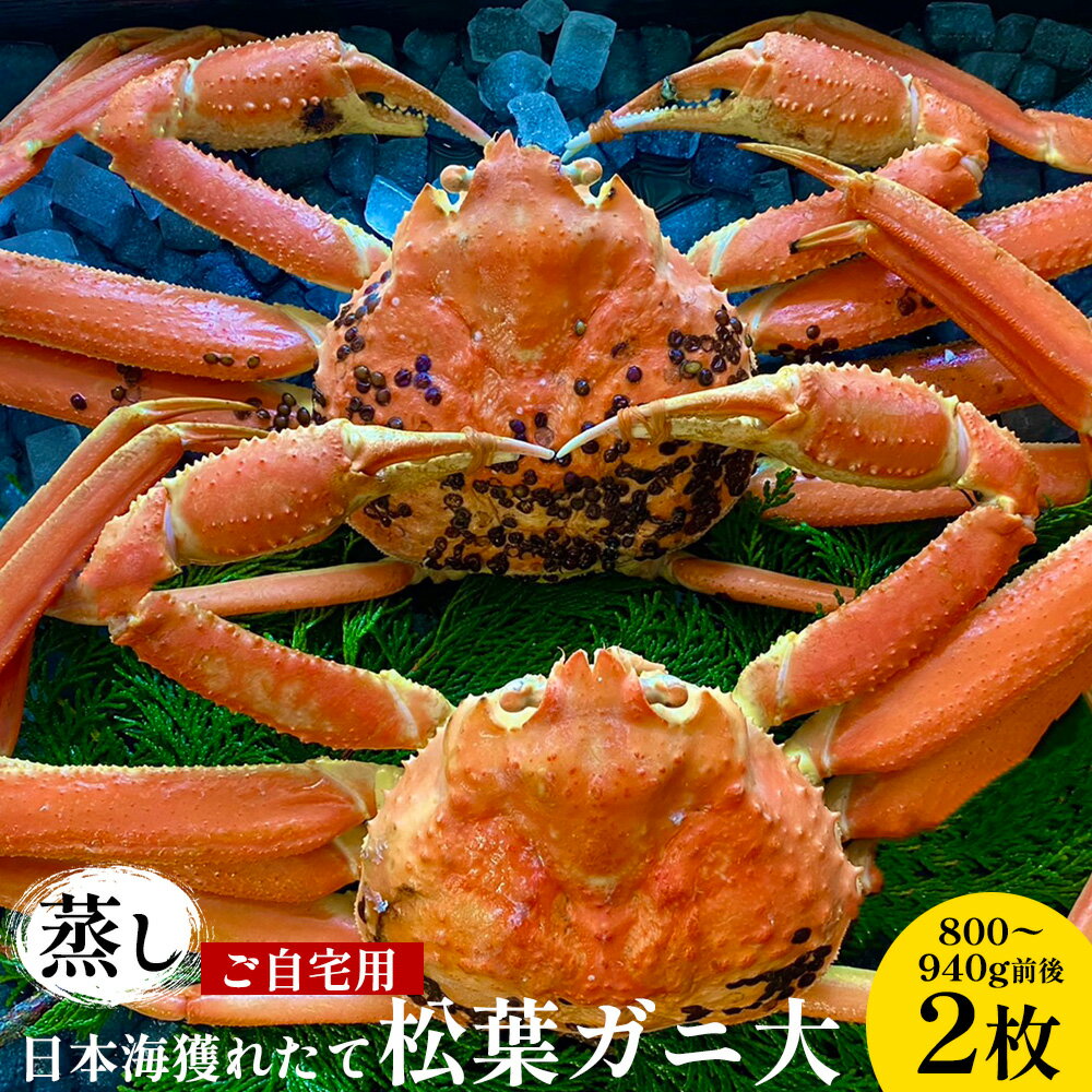 【ふるさと納税】【先行予約】【蒸し】ご自宅用日本海獲れたて松葉ガニ 大　800〜940g前後　2枚◇《かに カニ 蟹 ズワイガニ》※2024年11月上旬～2025年3月上旬頃に順次発送予定