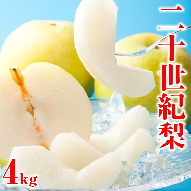 【ふるさと納税】二十世紀梨　秀　約4Kg　L～5L　9〜18玉前後◇※2023年8月下旬〜9月下旬頃に順次発送予定のサムネイル