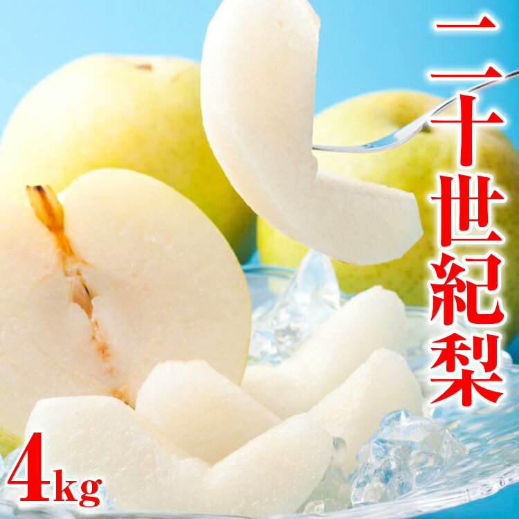 【ふるさと納税】【先行予約】二十世紀梨　秀　約4Kg　L～5L　9〜18玉前後◇※2024年8月下旬～9月下旬頃...