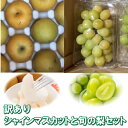 【ふるさと納税】955.【訳あり】シャインマスカット(350g前後)と旬の梨(5玉)セット≪ぶどう、マスカット、ブドウ、葡萄、なし 果物 フルーツ くだもの 鳥...