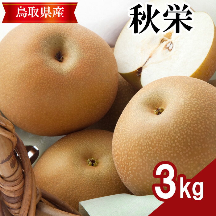 秋栄 3kg