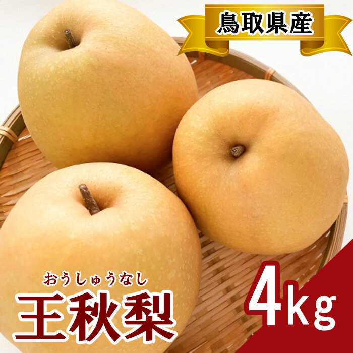 ڤդ뤵ǼǡTS13ץߥದ4kg