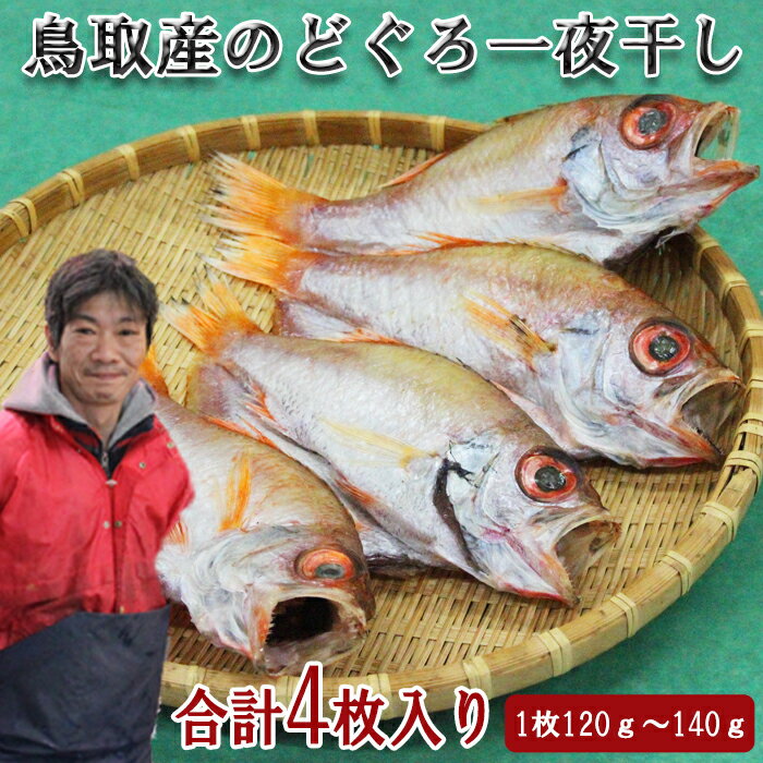 名称のどぐろ一夜干し 原材料名のどぐろ（鳥取産） 内容量4枚（1枚あたり約120～140g） 賞味期限冷凍（－18℃以下）で30日間、解凍後は2日以内 保存方法-18℃以下で保存 提供事業者有限会社木村鮮魚店 （鳥取県西伯郡日吉津村1026-1） 備考 ・一部地域及び離島は発送の対象外とさせていただきます。 ・長期不在の場合は備考欄にご記入ください。 ・長期不在によりお礼品の劣化や返送があった場合に、お礼品を再度お届けすることはできません。 ・確実にお受け取りいただけるようお願い致します。 ふるさと納税よくある質問はこちら 寄附申込みのキャンセル、返礼品の変更・返品はできません。あらかじめご了承ください。【ふるさと納税】KI04：鳥取県産のどぐろ一夜干し（4枚） 山陰名物【のどぐろ】を一夜干しにしました。 地元で評判の良い「木村鮮魚店」の独自製法でふっくらとした干物に仕上げました！ ■なんといっても脂ののり、ふっくらした身が最高！ 身離れもよく、食べやすい！ 冷凍のまま焼いてお召し上がりください。 ※冷凍の状態で届きます。 寄付金の用途について 「ふるさと納税」寄付金は、下記の事業を推進する資金として活用してまいります。寄付を希望される皆さまの想いでお選びください。 村長が必要と認める事業 環境保全のための事業 地域福祉の向上のための事業 教育の振興のための事業 特段のご希望がなければ、市政全般に活用いたします。 受領証明書及びワンストップ特例申請書のお届けについて 入金確認後、注文内容確認画面の【注文者情報】に記載の住所にお送りいたします。 発送の時期は、寄附確認後30日以内を目途に、お礼の特産品とは別にお送りいたします。