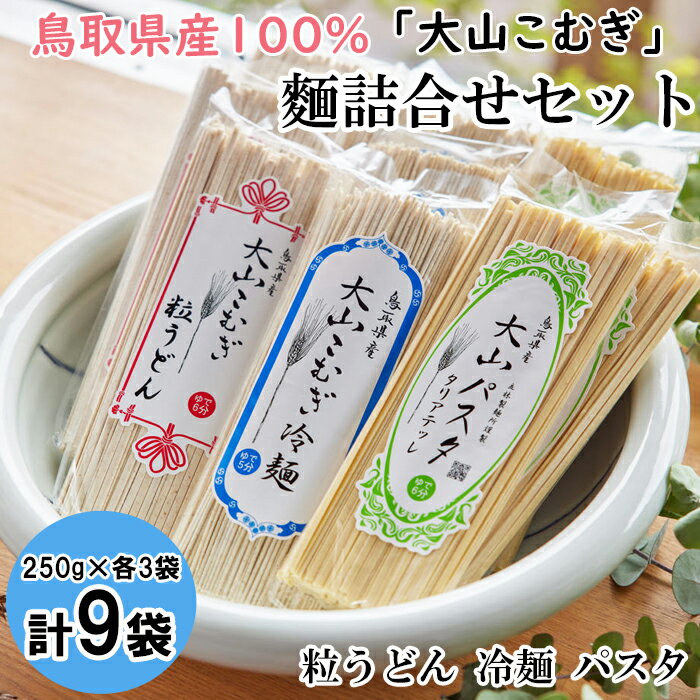 12位! 口コミ数「0件」評価「0」IW03：鳥取県産大山こむぎ麺セット（パスタ・粒うどん・冷麺）9袋