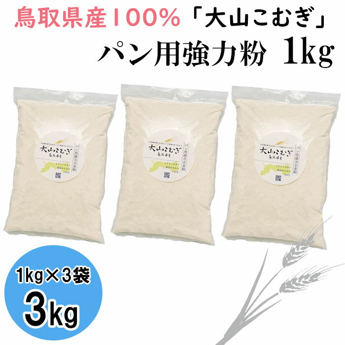 【ふるさと納税】IW04:鳥取県産大山こむぎパン用強力粉(1kg×3袋)
