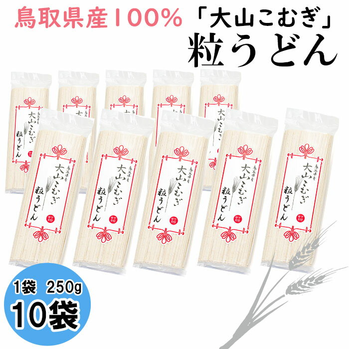 23位! 口コミ数「0件」評価「0」IW05：鳥取県産大山こむぎ粒うどん10袋