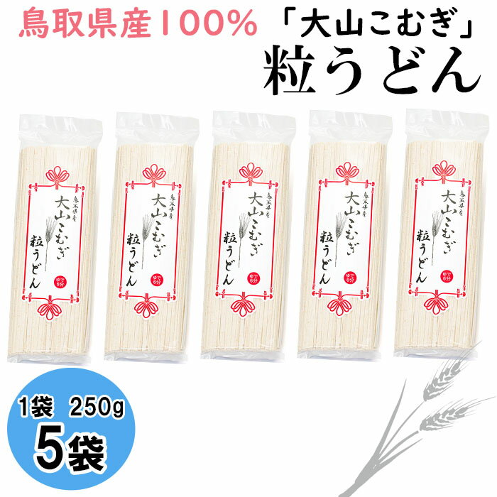 12位! 口コミ数「0件」評価「0」IW06：鳥取県産大山こむぎ粒うどん5袋