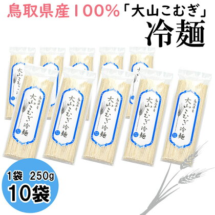 IW08：鳥取県産大山こむぎ冷麺10袋