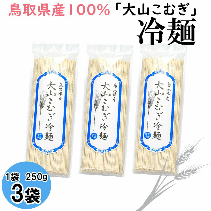 鳥取県産大山こむぎ冷麺3袋