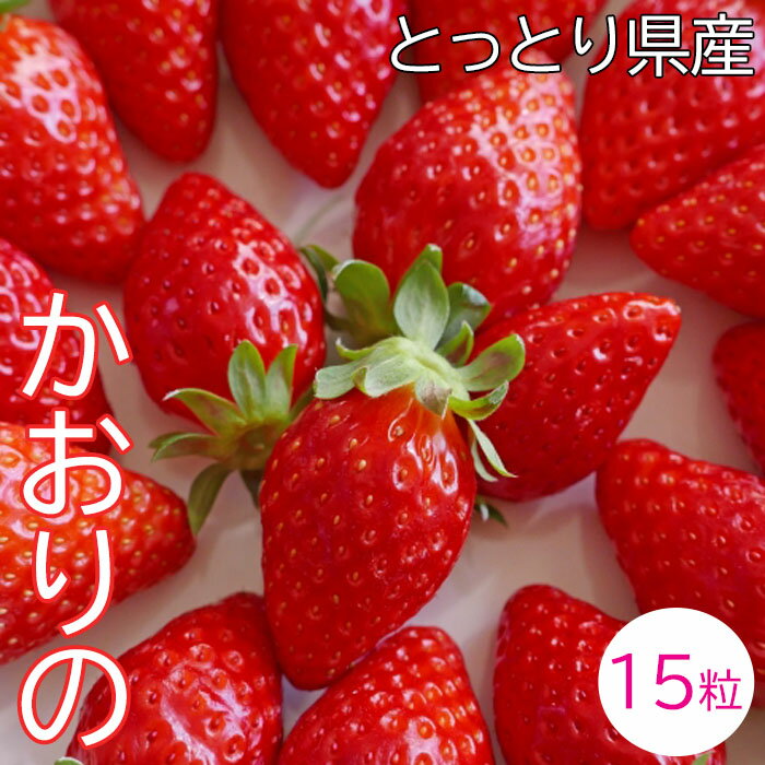 鳥取県産いちごかおりの ギフト箱 15粒