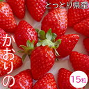 【ふるさと納税】OT01：鳥取県産いちごかおりの　ギフト箱　15粒